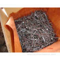 Hot Dipped Galvanized Round Common Nail